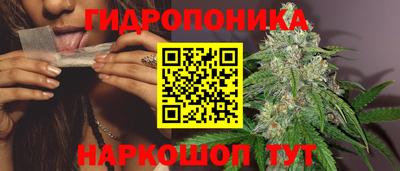 MDMA Новозыбков