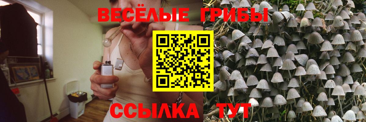 Галлюциногенные грибы ЛСД Тара